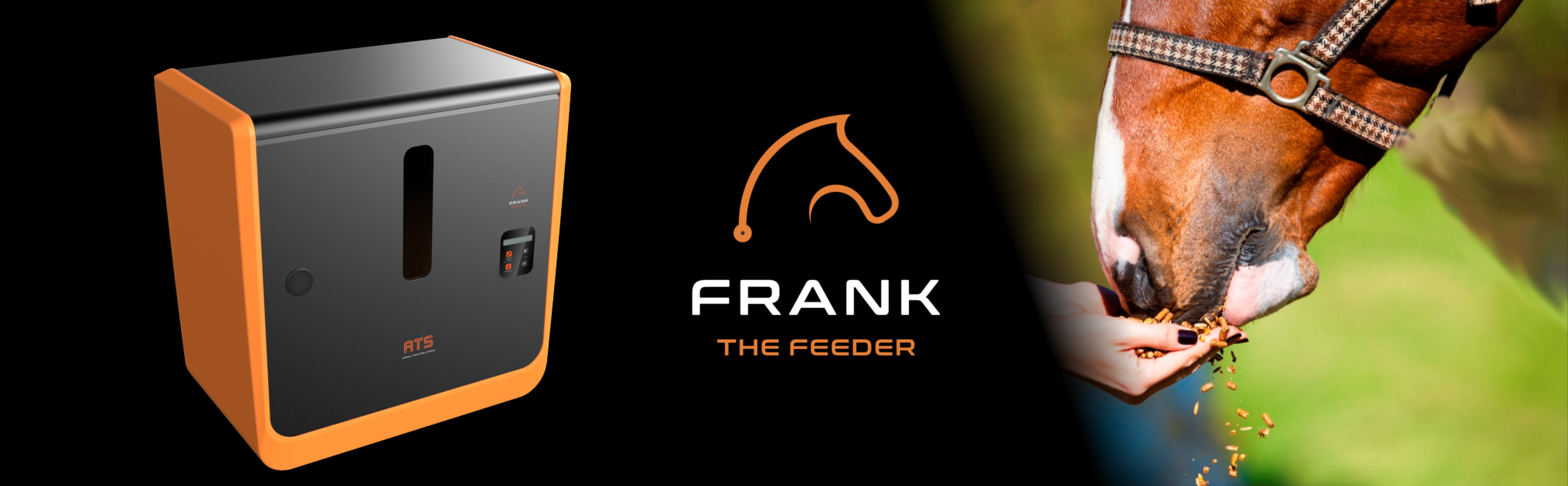 Frank-The Feeder Header